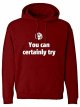 Hoodie You Can Certainly Try Dnd Medium Red Hooded Sweatshirt